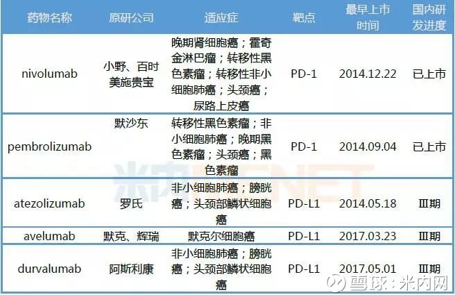 pd一1最新消息