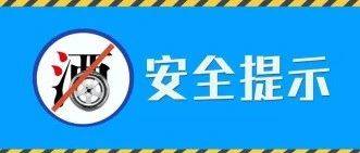 北碚最新驾驶员招聘启事，寻找优秀驾驶人才