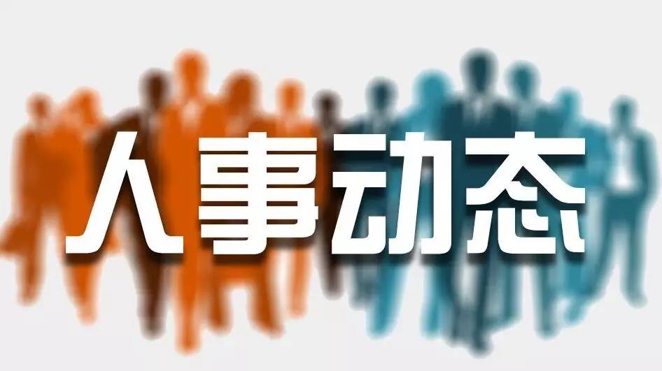 大同日报最新消息，城市发展与民生改善迈入新篇章