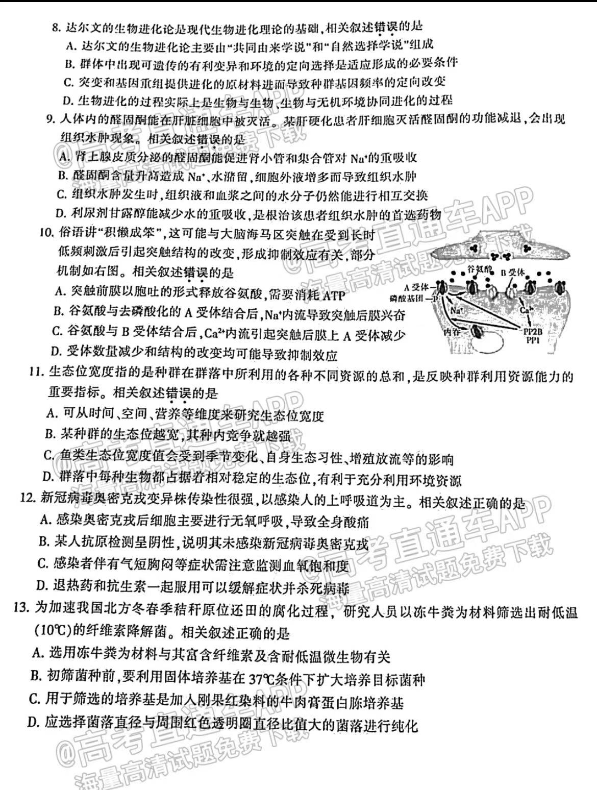 二四六期期更新资料大全，实地研究解析说明_战斗版46.66.24