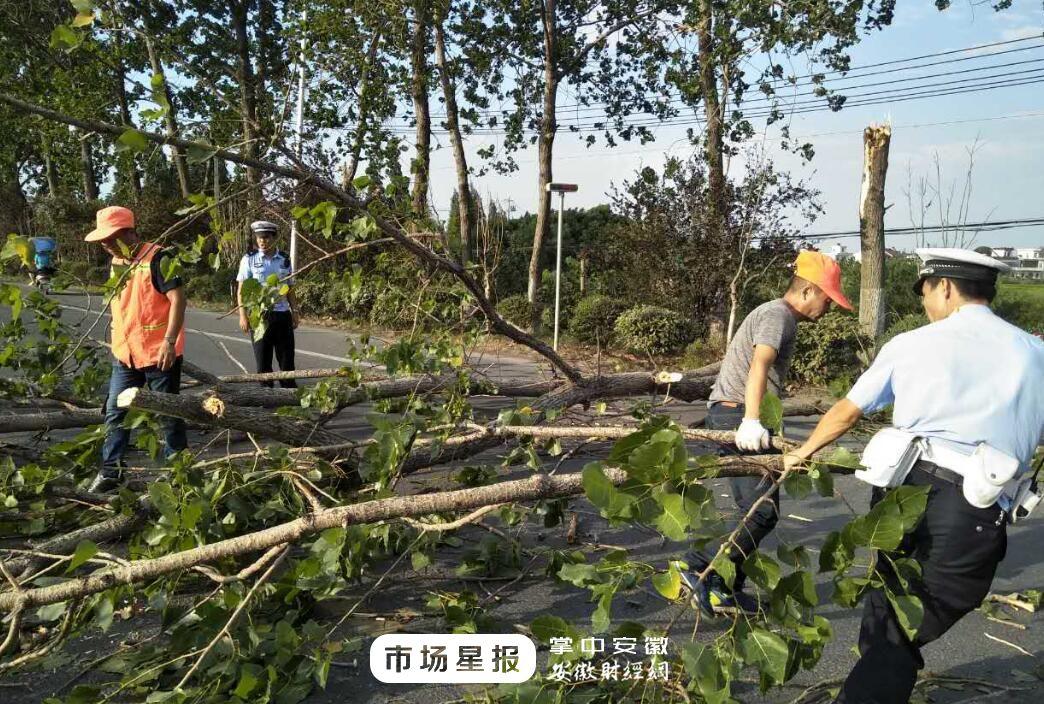 沙纳台风最新动向，影响及应对策略详解