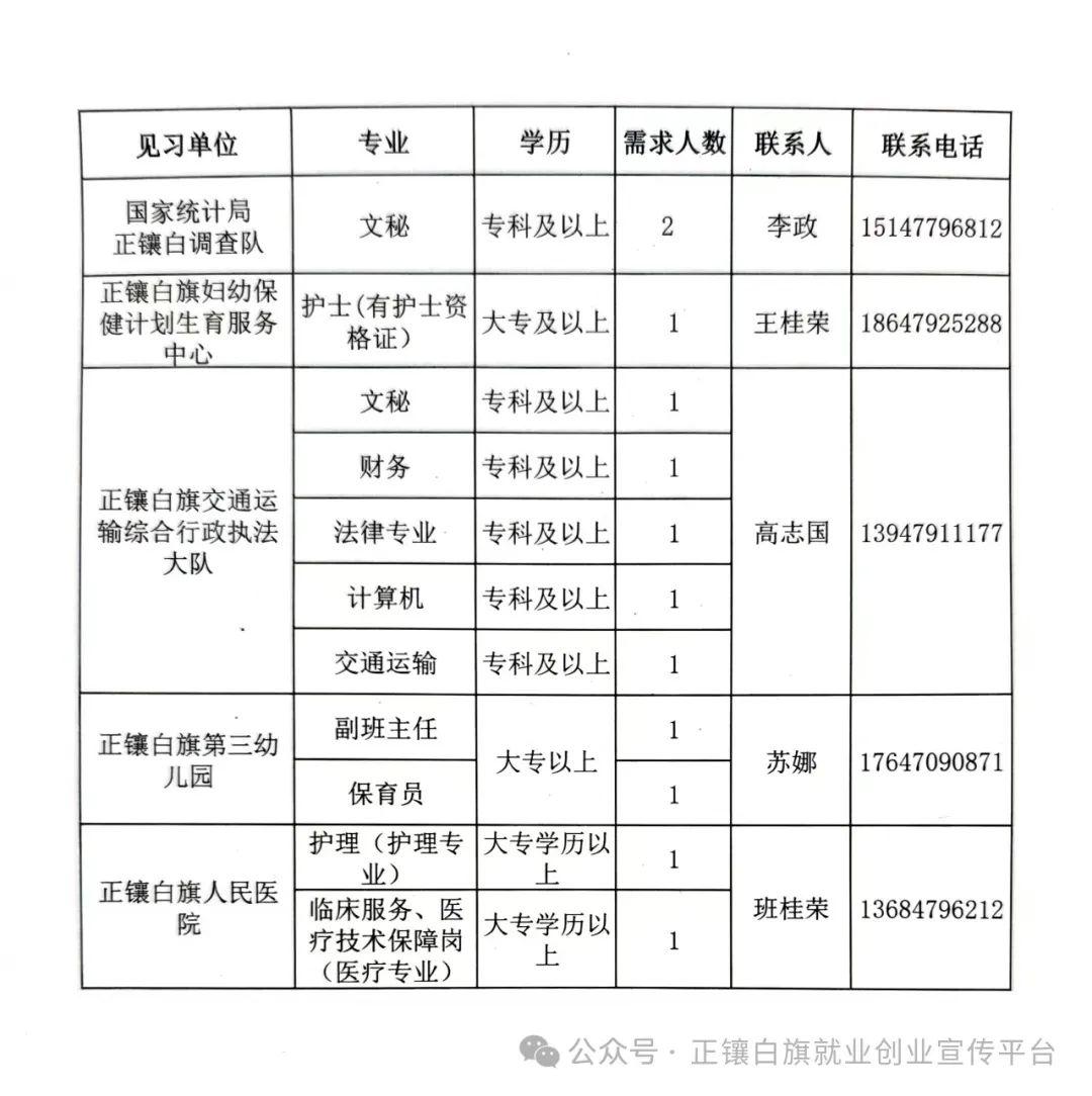 白音华最新招聘信息与职业前景展望分析