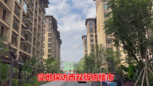 西双版纳楼市最新消息