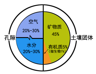 澳门今期出什么特马,性状解答解释落实_特别版44.381