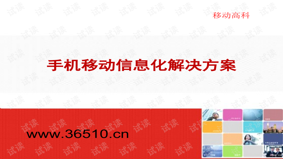 2024年10月24日 第56页