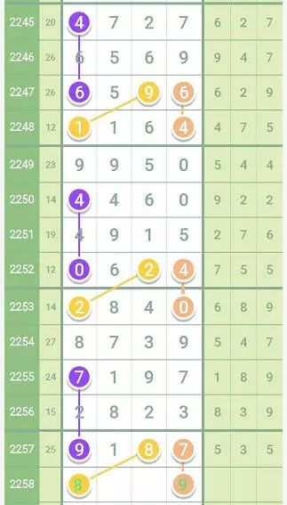 2024澳门今晚开特马,经典解答解释落实_升级版1.239