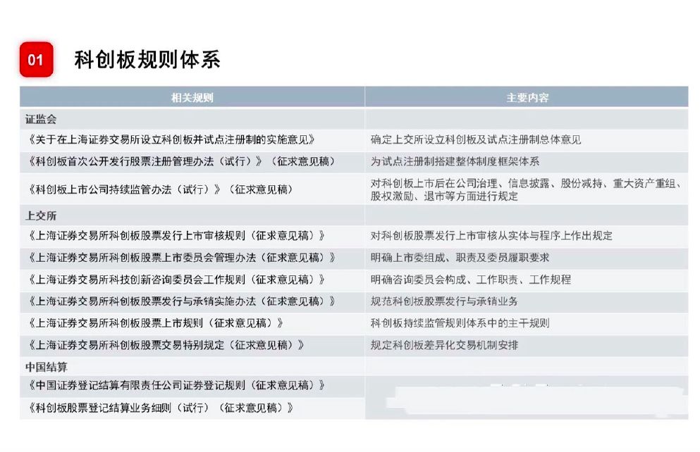 新澳精准资料免费提供,决策资料解释落实_创意版2.462