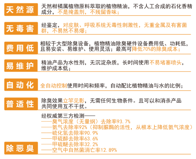 2024新澳正版资料最新更新,正确解答落实_增强版8.317