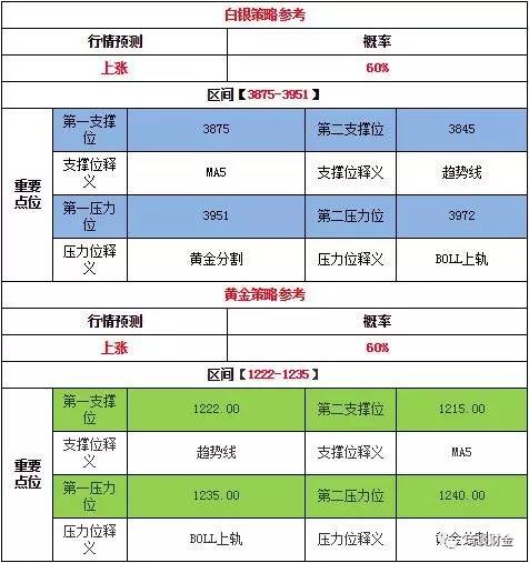 澳门王中王100%期期中一期,实时解答解释定义_FHD81.212