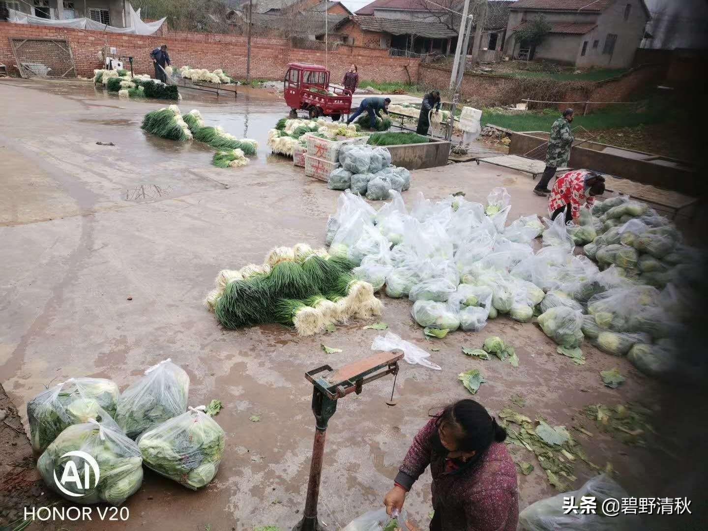 宜昌司机招聘，职业前景、需求分析与应聘指南全解析