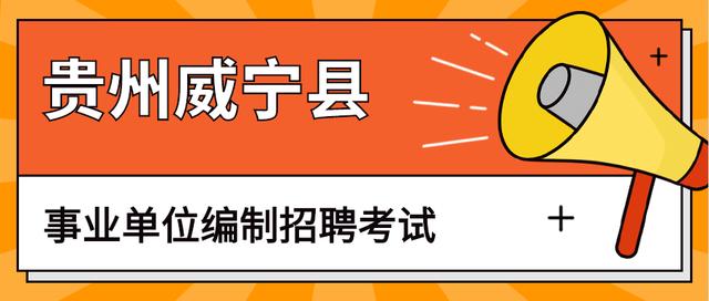 2024年11月20日 第3页