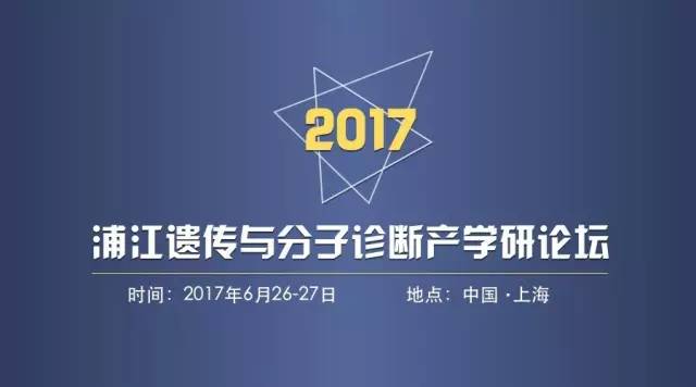 新奥精准资料免费提供,无论是企业决策、学术研究还是个人发展