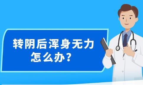 新澳精准资料免费大全,这些资料的价值在于其权威性和时效性