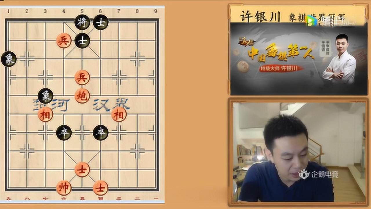 许银川最新直播，象棋高手的魅力与智慧解析