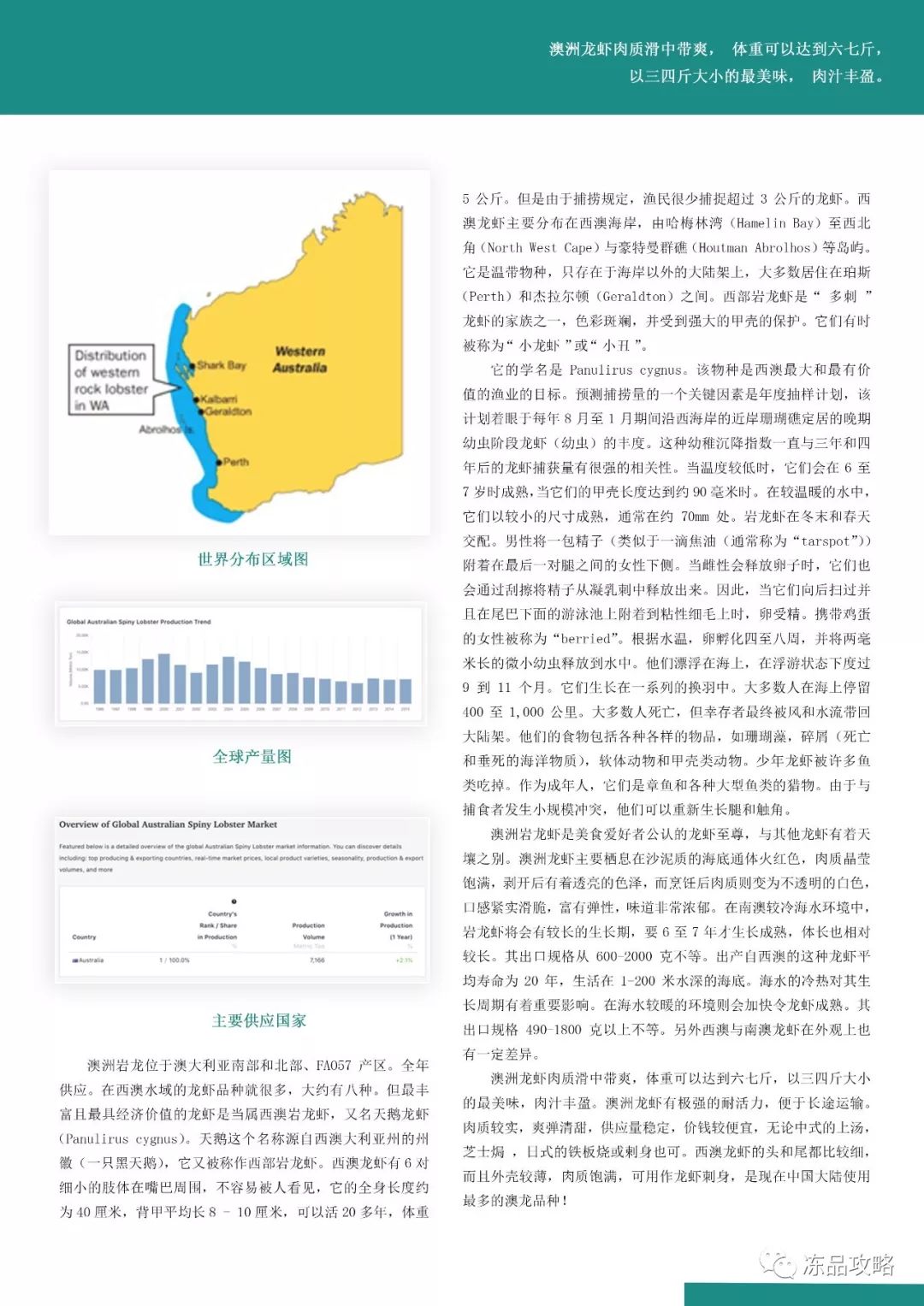 2024新澳正版免费资料的特点,定制化执行方案分析_顶级款32.63