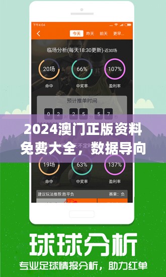 2024新澳天天资料免费大全,实地策略验证计划_Lite53.65