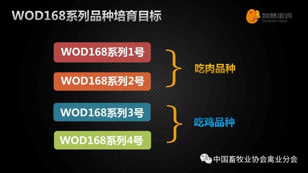 2024年新澳门开奖结果,标准化实施评估_Hybrid76.229