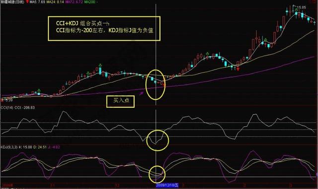 三肖三期必出特马,诠释解析落实_tool55.635