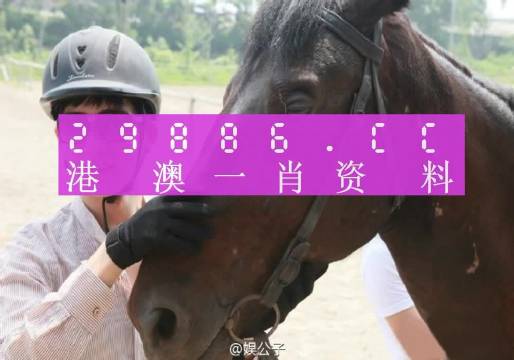 澳门必中一肖一码第一个,动态词语解释落实_WP版53.732