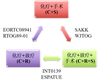 新澳门中特期期精准,符合性策略定义研究_NE版46.48