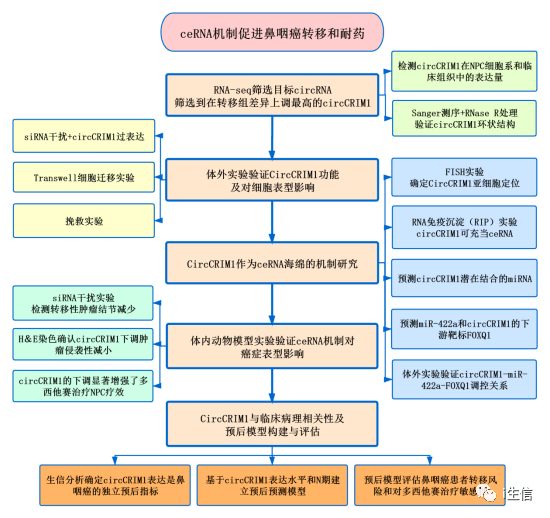 2024年11月29日 第57页