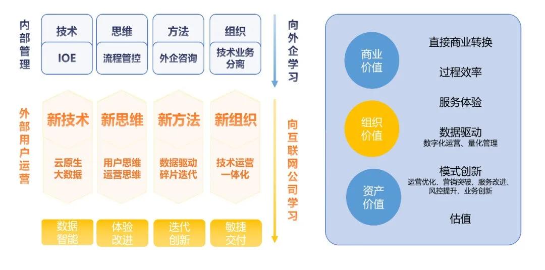 管家婆一码一肖资料,全面数据执行方案_vShop56.909