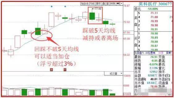 天天开澳门天天开奖历史记录,适用性方案解析_M版49.660