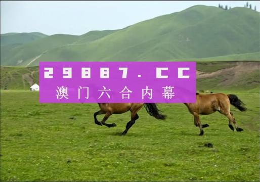 2024年7777788888新版跑狗图,数据驱动执行设计_FHD版76.250