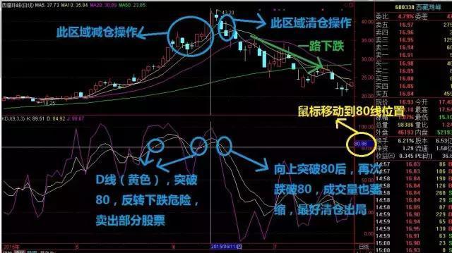 白小姐今晚特马期期准金｜实用技巧与详细解析