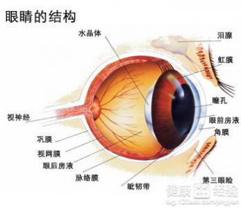 最新飞蚊症治疗方法探索，希望与进展