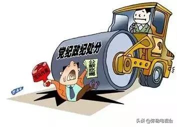 弥勒人才市场最新招聘动态深度解析及招聘资讯