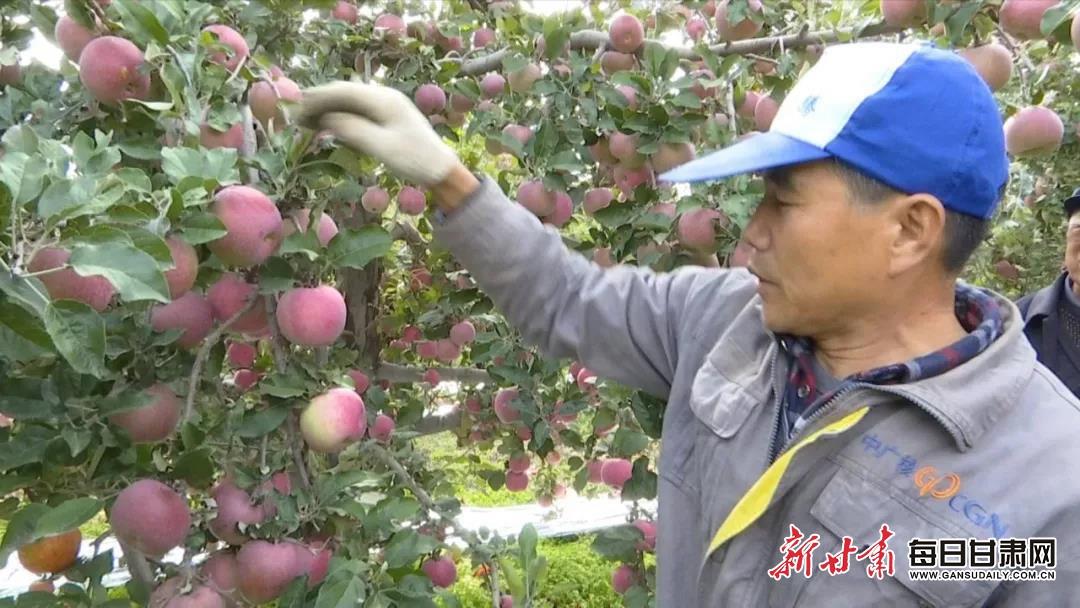 学龙村现代化蓝图，最新发展规划揭秘