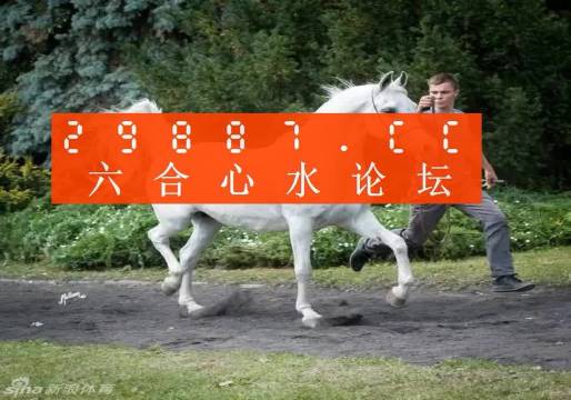 7777788888新版跑狗,细微解答解释落实_P版62.618