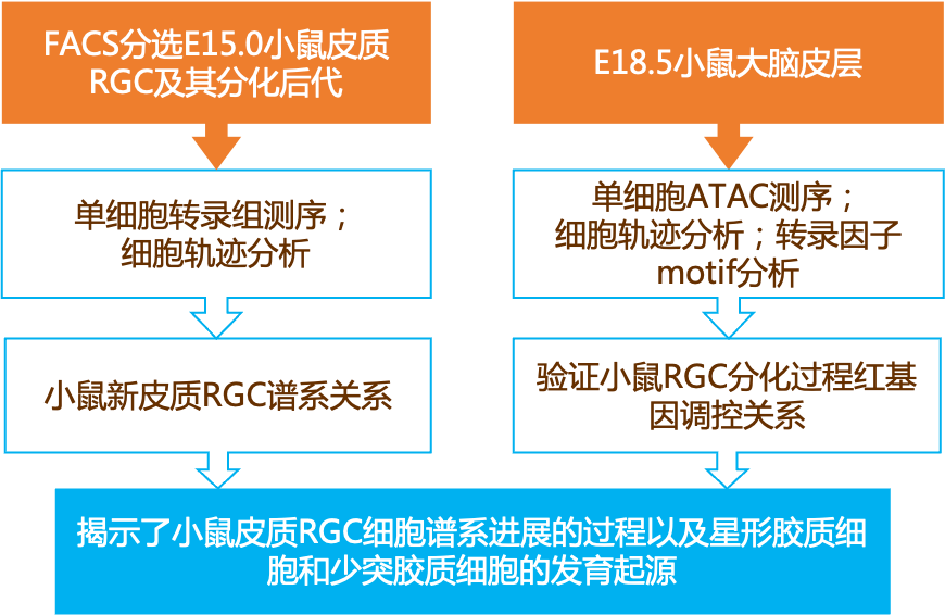 2024新奥正版资料免费,理性解答解释落实_XT76.035