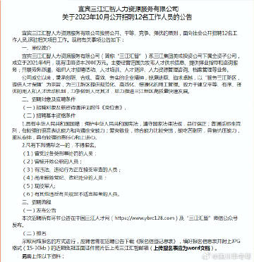 宜宾三江最新招聘动态及其社会影响分析