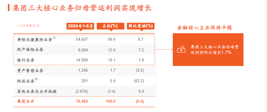 新澳2024最新资料,资源整合策略实施_动态版2.236