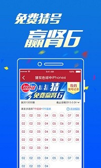 2023年澳门天天开彩免费记录,决策资料解释落实_win305.210