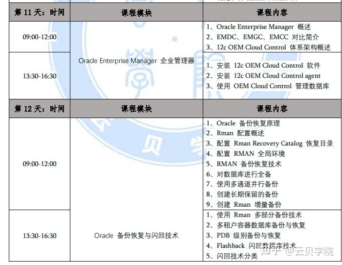 澳门最精准正最精准龙门蚕,实地数据验证实施_XR55.917