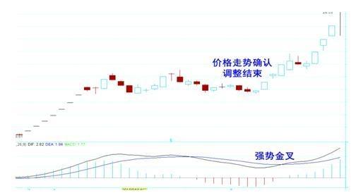 2024香港特马今晚开奖,高速响应策略_Executive43.340