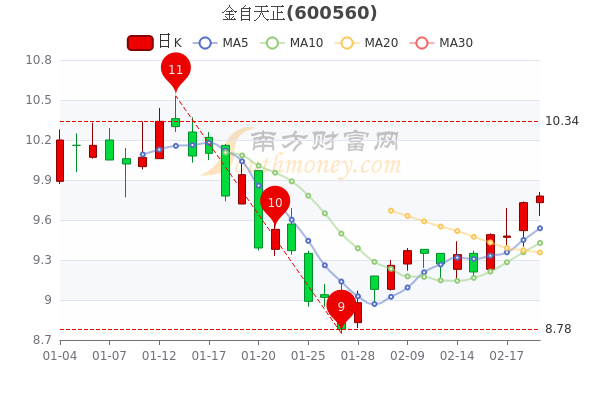 金自天正最新动态与进展概述