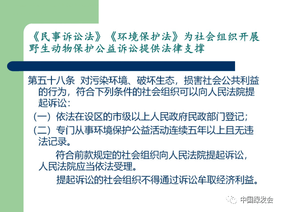 新澳准资料免费提供,确保成语解释落实的问题_豪华版8.23