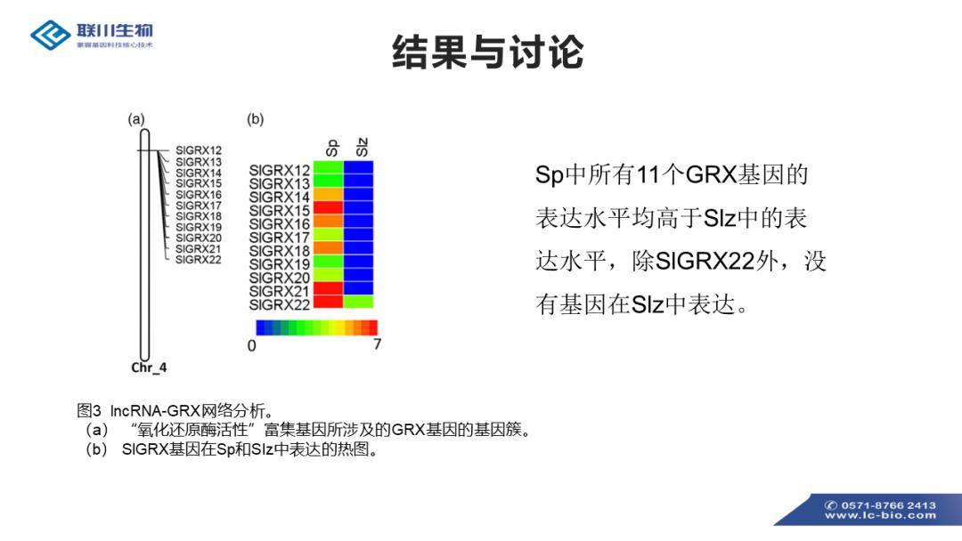 2024新澳最快最新资料,创新落实方案剖析_3DM7.239