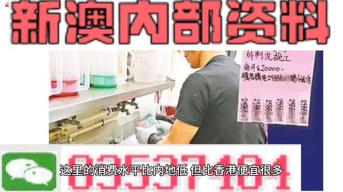 新澳最新快资料,准确资料解释落实_影像版1.667