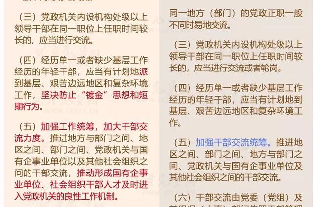 正版资料免费资料大全十点半,确保成语解释落实的问题_精英版201.123