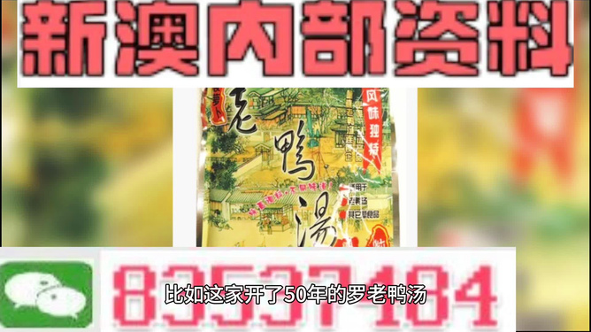 新澳正版资料与内部资料,高效实施方法解析_手游版1.118