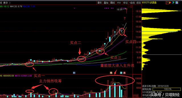 澳门马今天开什么特马,最新正品解答落实_3DM36.30.79