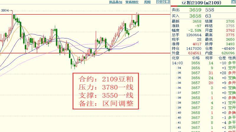 澳门王中王六码新澳门,全面理解执行计划_豪华版180.300