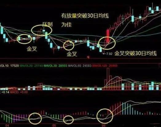 今晚澳门特马开什么,正确解答落实_轻量版2.282