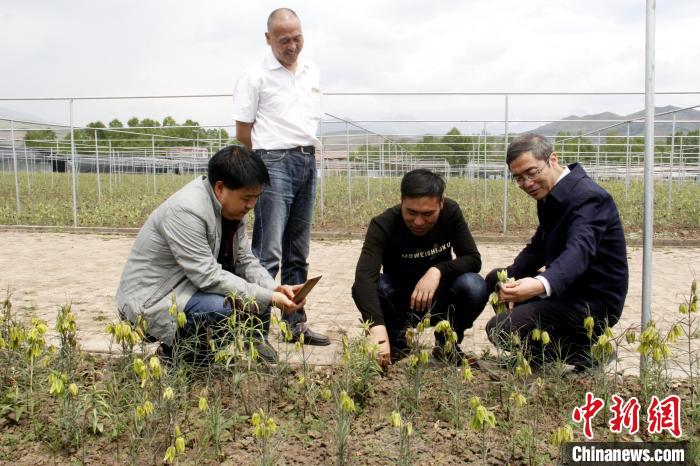 2024香港正版资料免费看,动态调整策略执行_精简版105.220