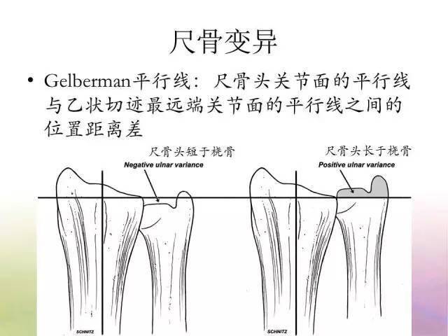 2024香港图库免费资料大全看,时代资料解释落实_入门版2.362